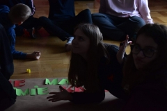 52144352_2375477702684291_377892847862415360_o_2375477696017625