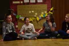 52602381_2377172725848122_2669530935644389376_o_2377172712514790