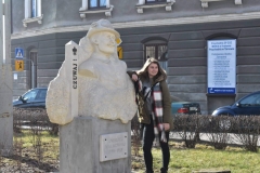 52713017_2375451629353565_1214948464517971968_o_2375451622686899