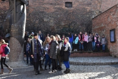 52759676_2375453406020054_3402509912645828608_o_2375453402686721